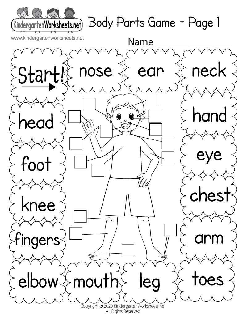 body parts printable worksheets for preschoolers