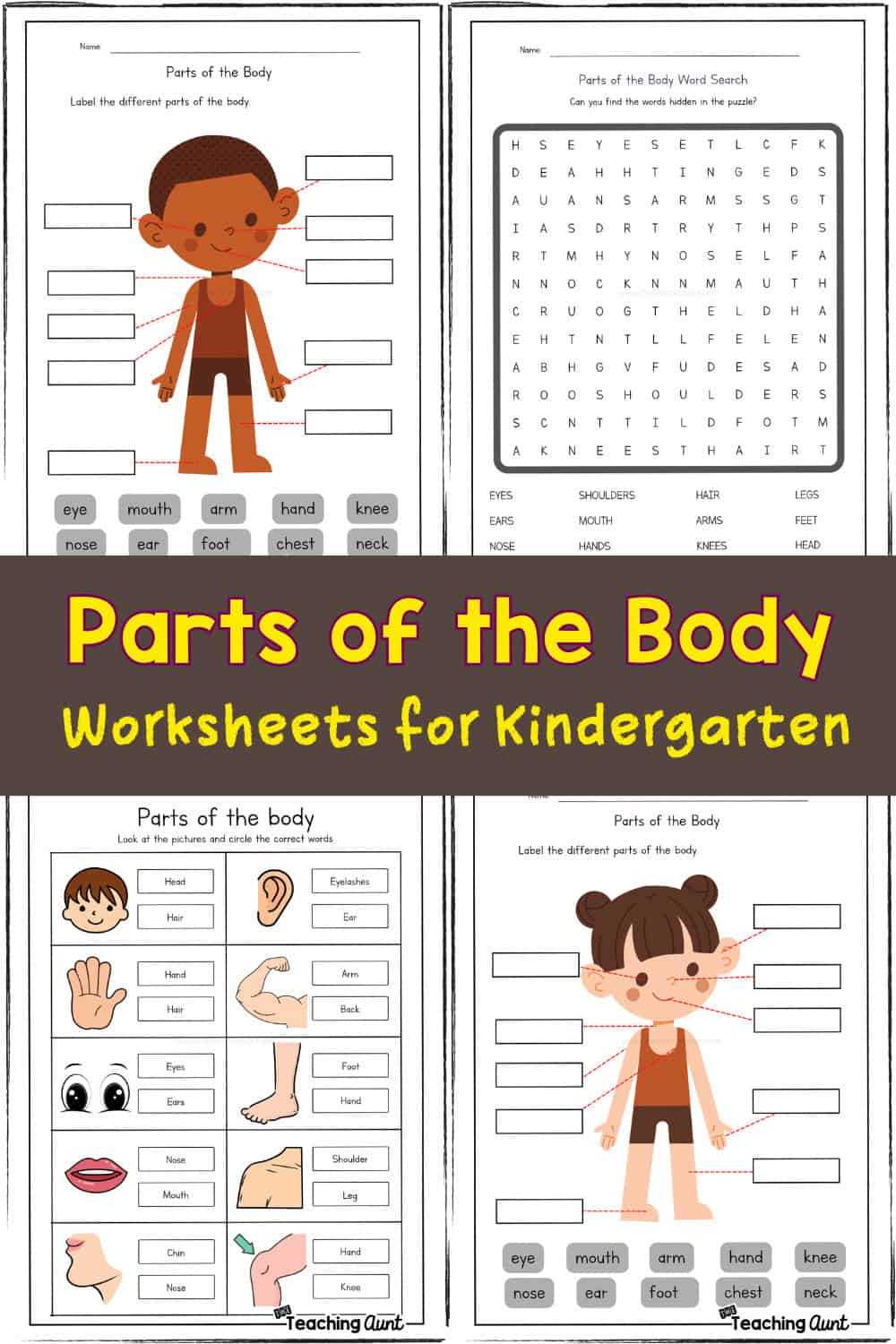 body parts printable worksheets for preschoolers