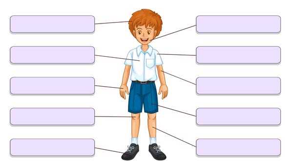 body parts tracing worksheet for kindergarten
