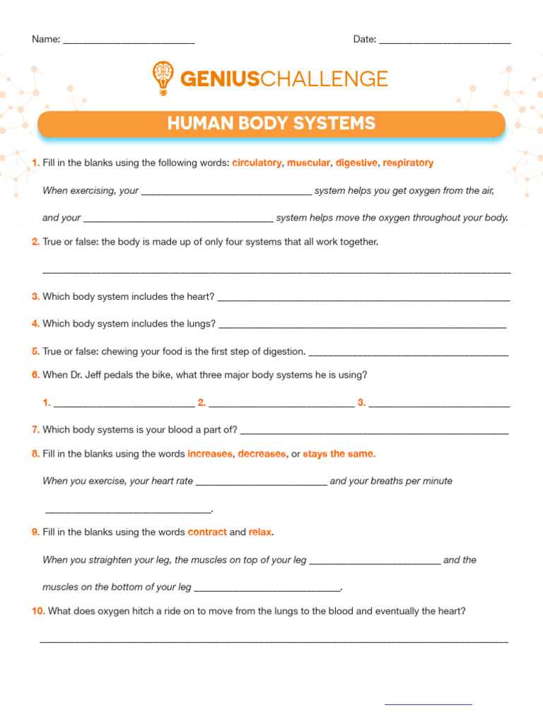 body system challenge worksheet