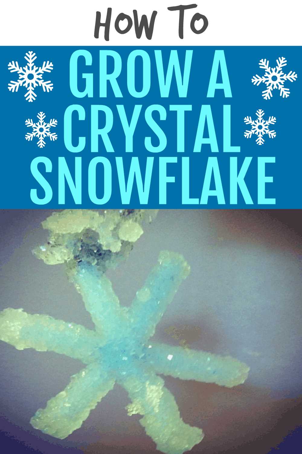 borax snowflake lab worksheet