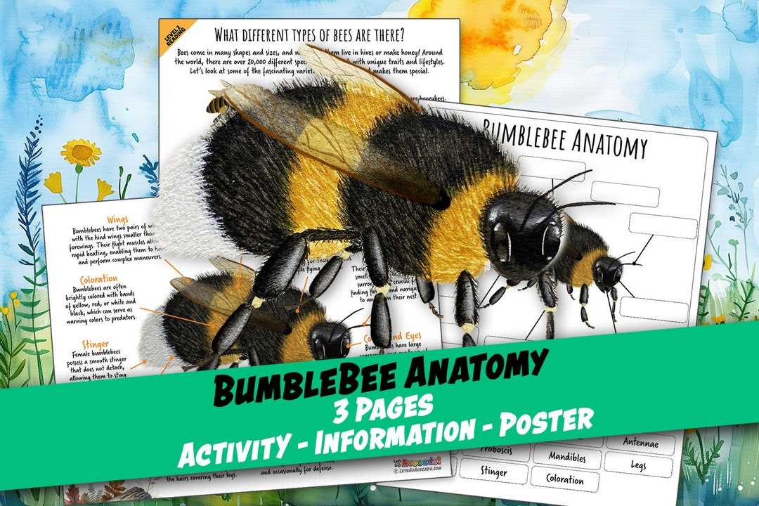 bumble bee worksheet
