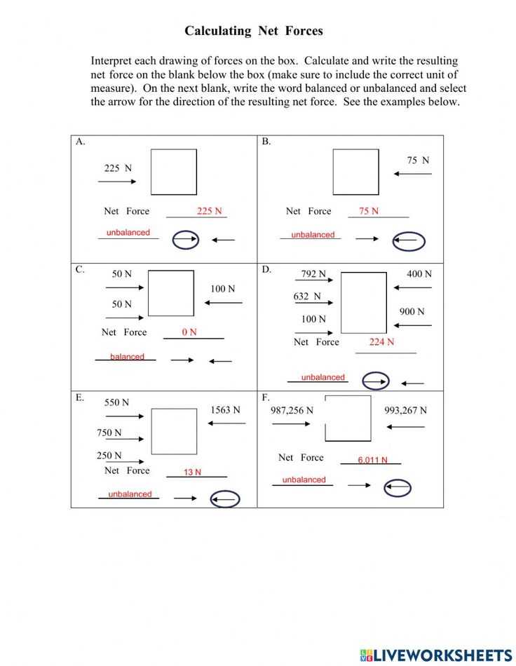 calculating net force worksheet