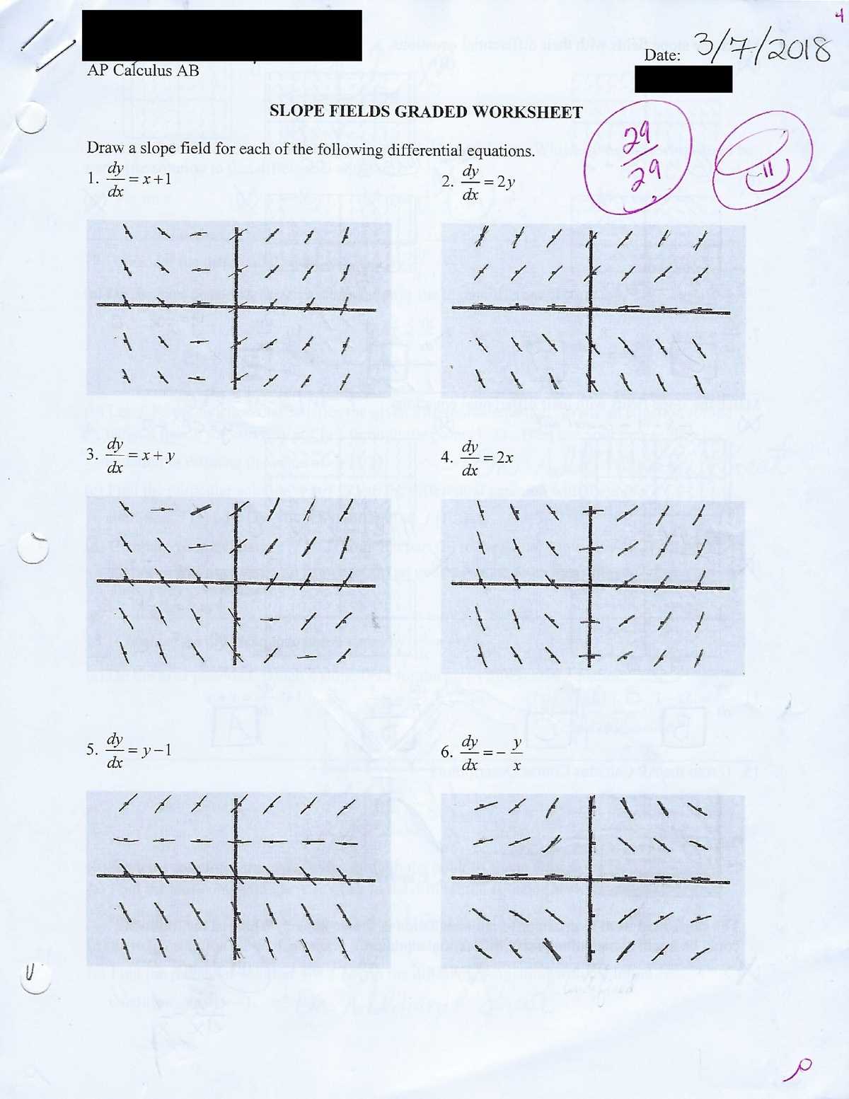 calculus slope fields worksheet