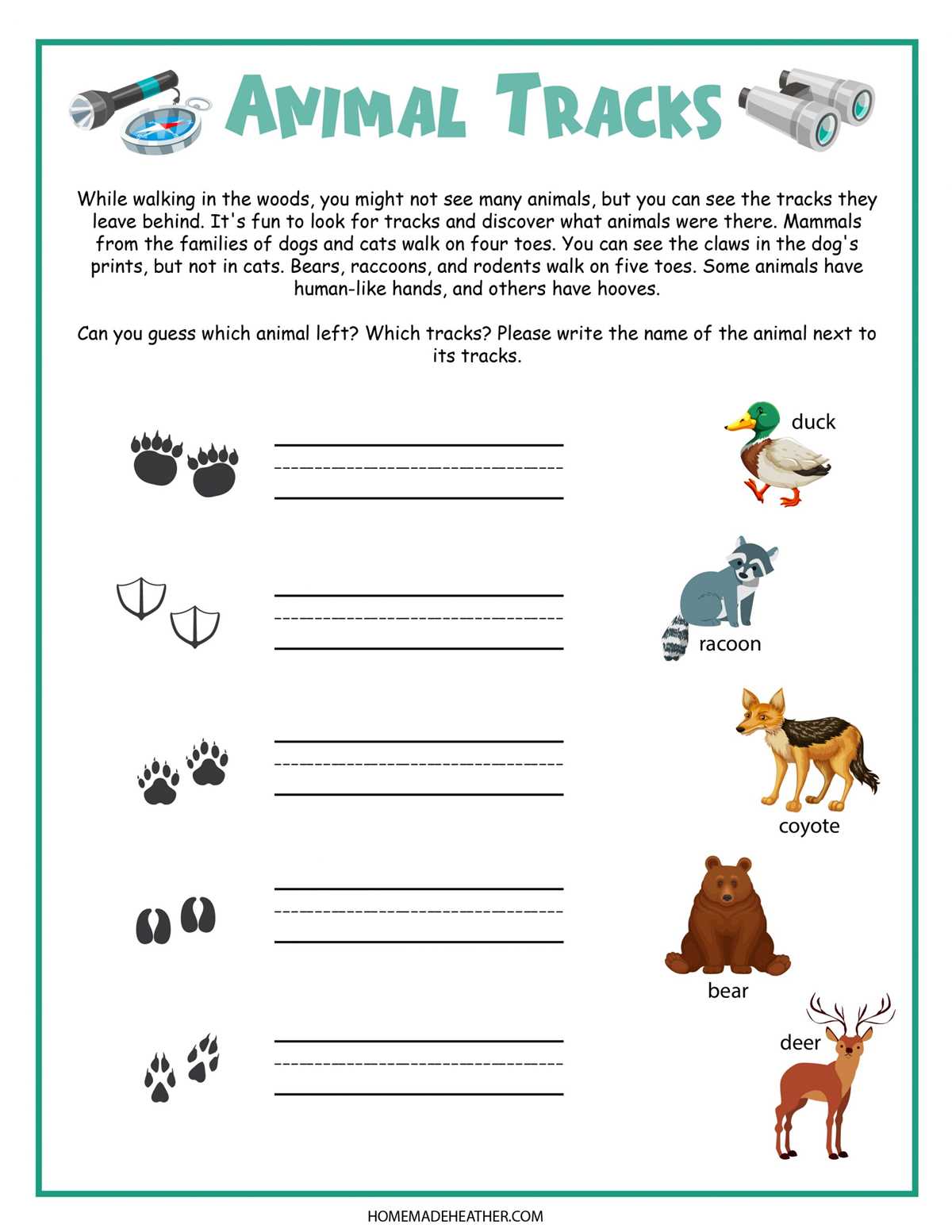 campfire worksheets