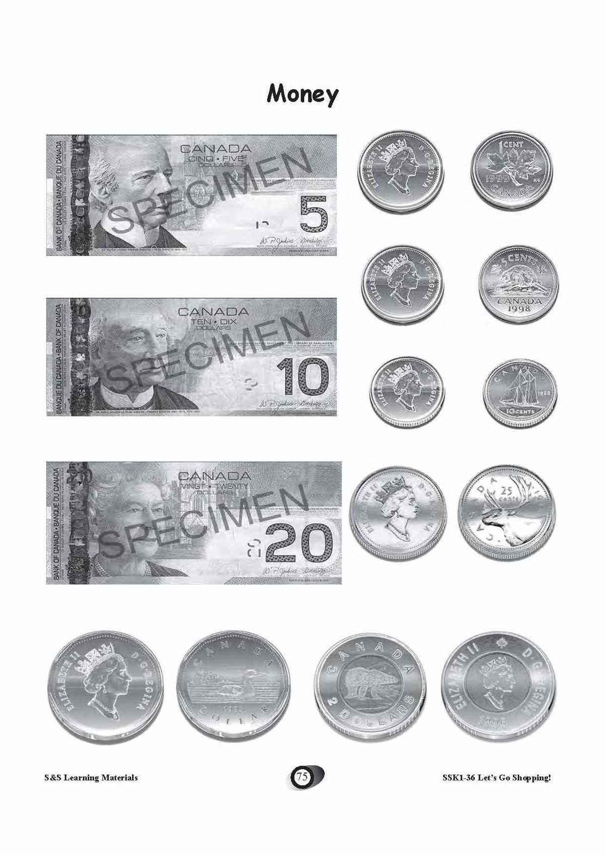 canadian currency worksheets
