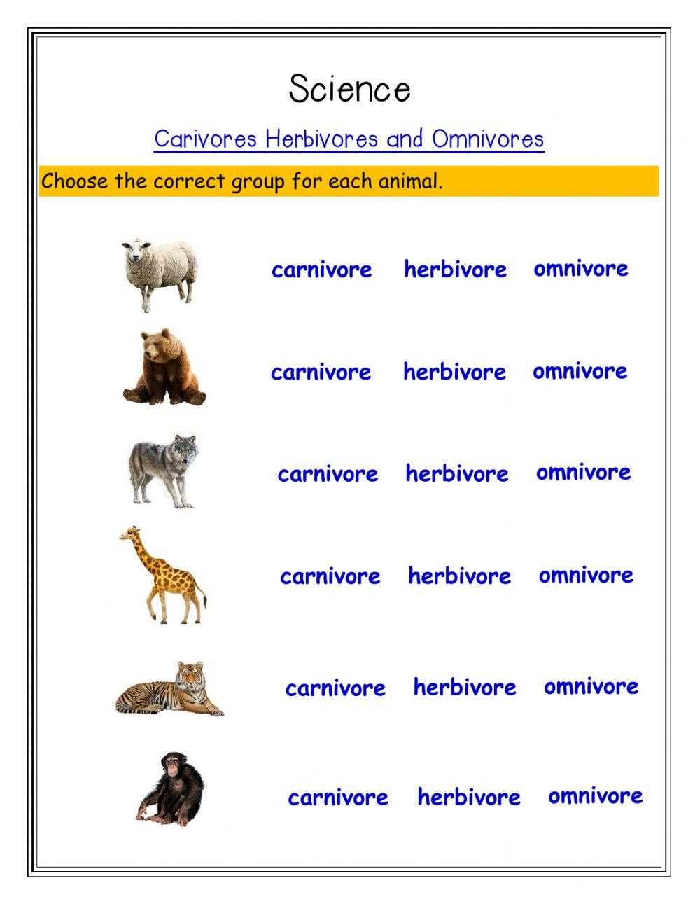 carnivore herbivore omnivore worksheet