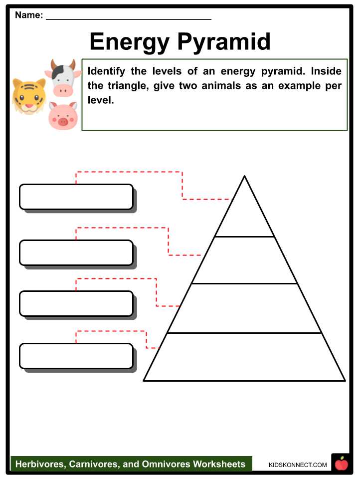 carnivore herbivore omnivore worksheet