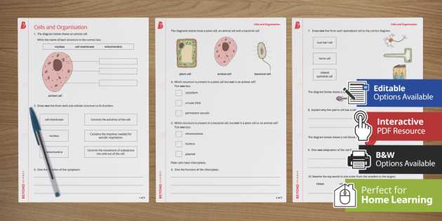 cell boundaries worksheet