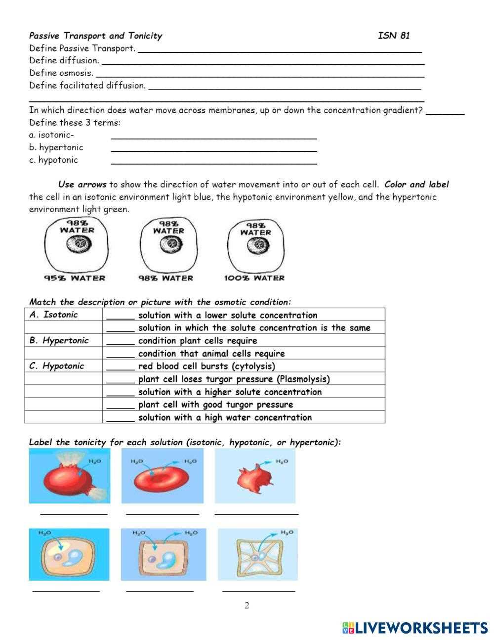 cell membrane transport systems worksheet cell membrane transport systems worksheet