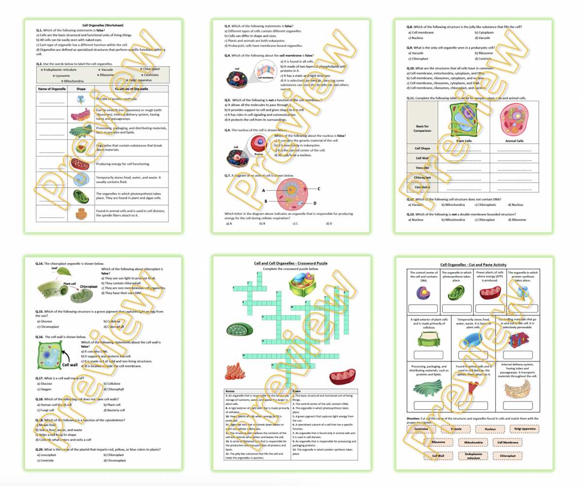 cell organelle research worksheet