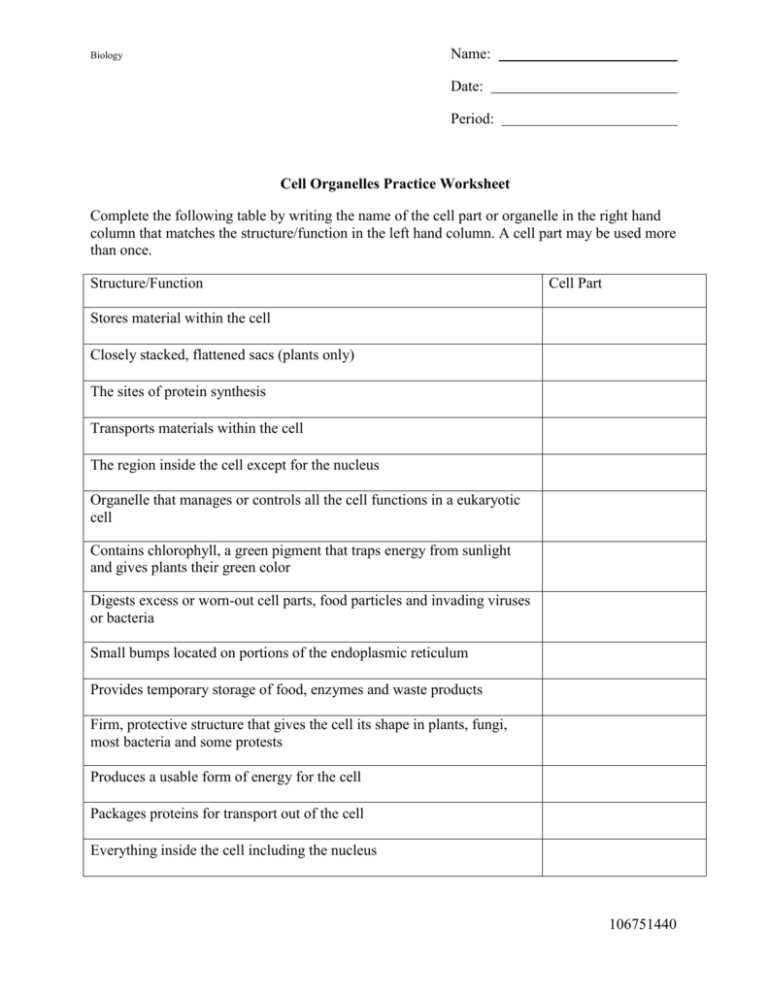 cell structure and functions activity worksheet
