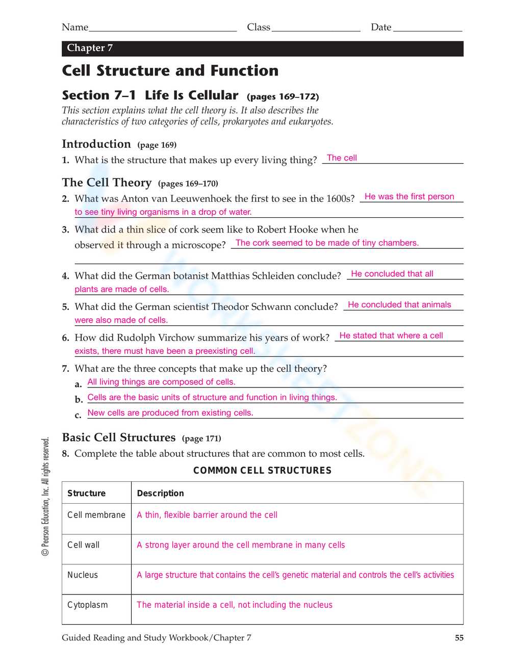 cell structures worksheet