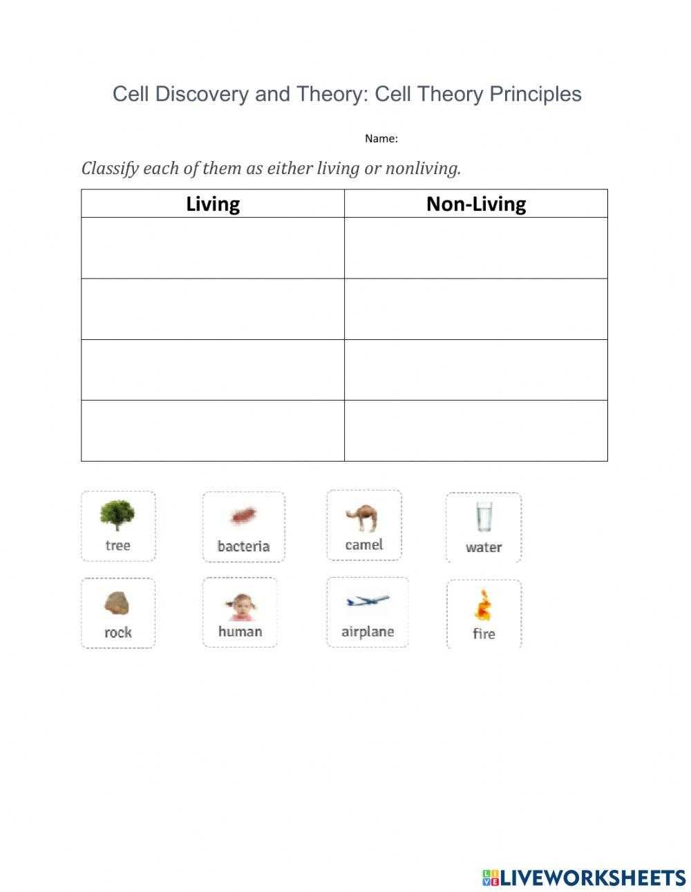 cells and cell theory worksheet