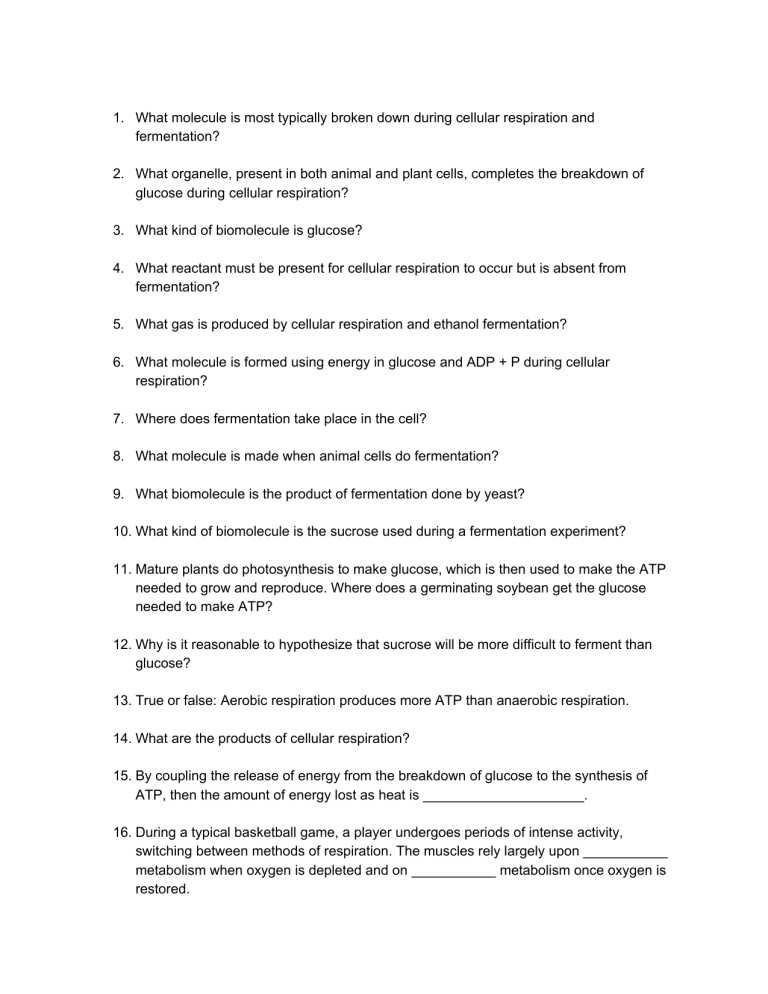 cellular respiration fermentation worksheet