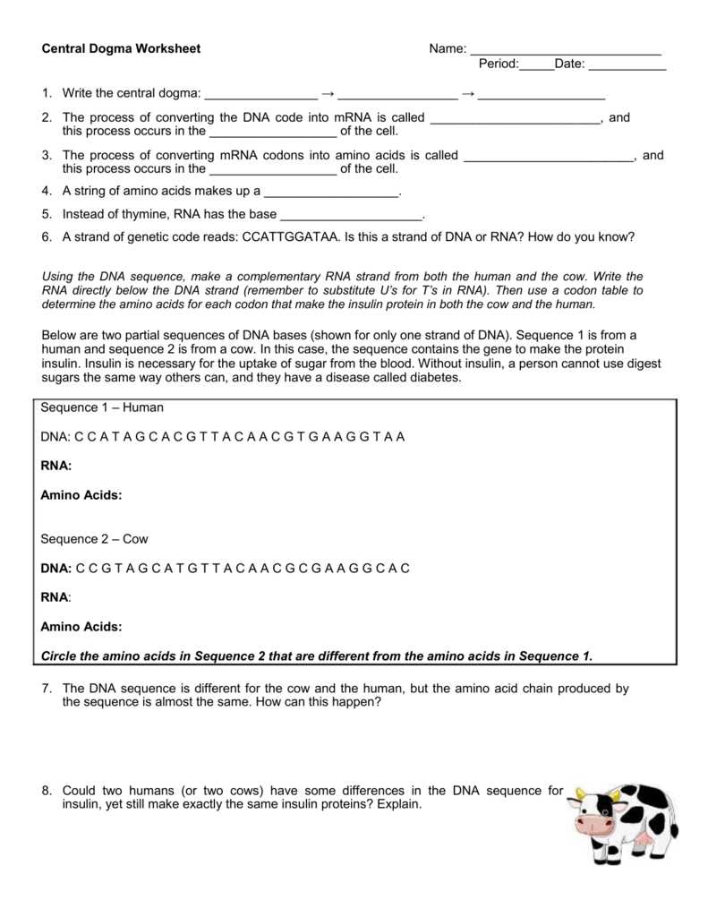 central dogma worksheet