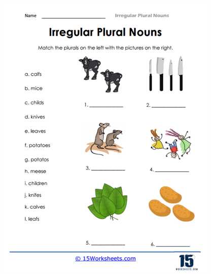 changing singular to plural nouns worksheet