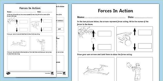 checks and balances in action worksheet