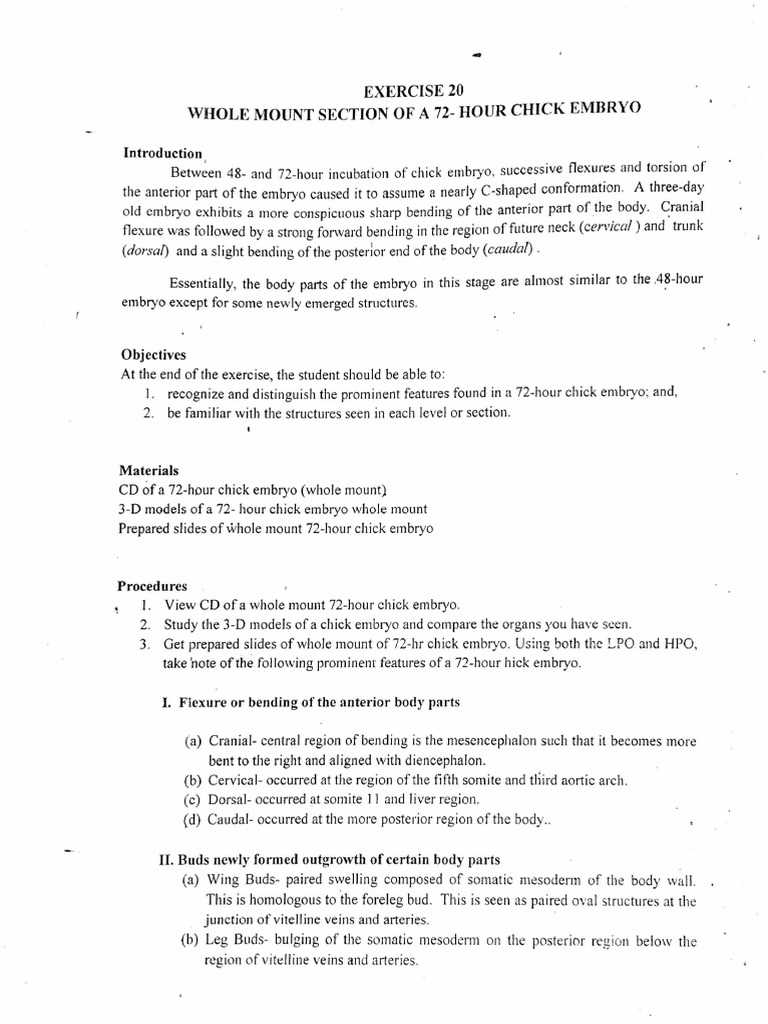chicken embryology worksheets