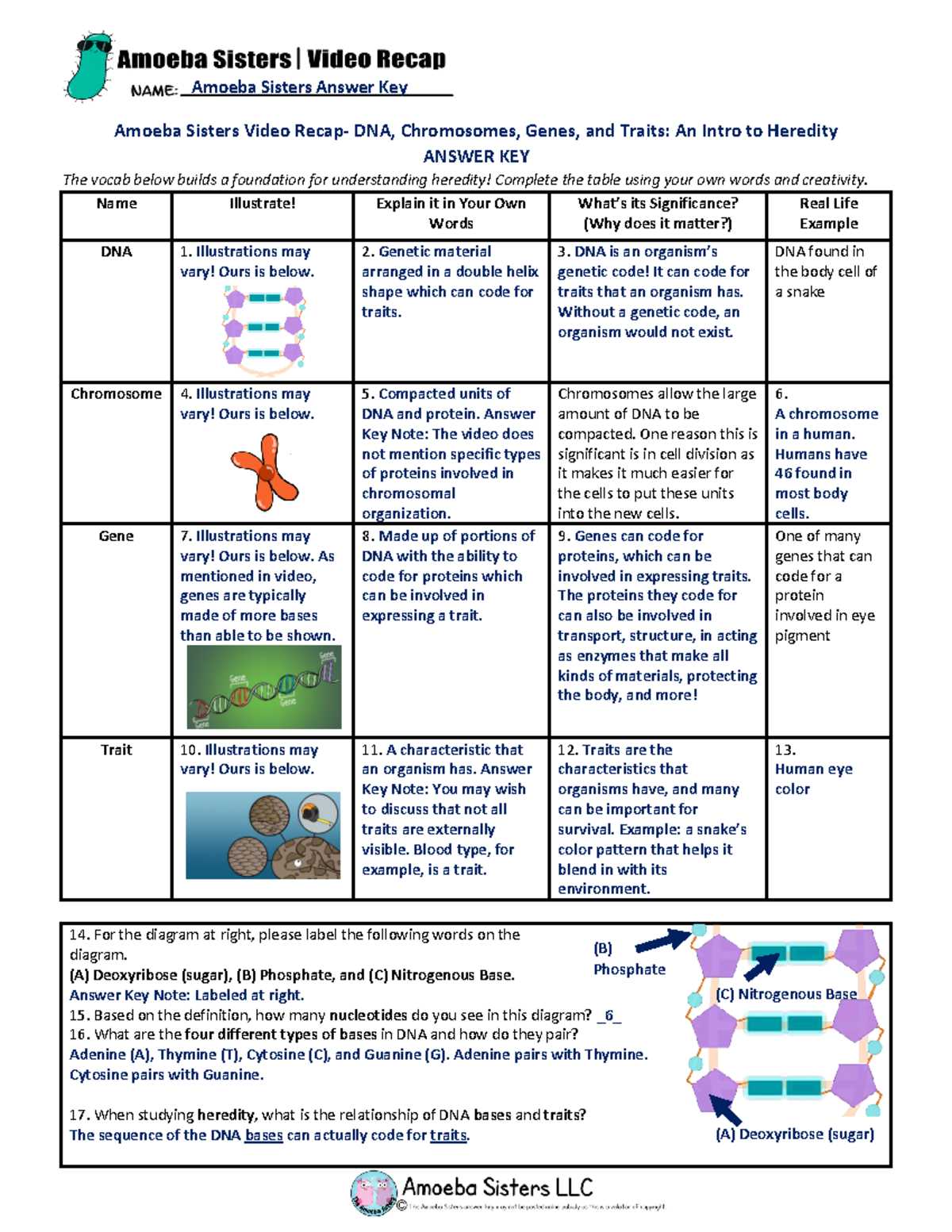 chromosome genes and dna worksheet