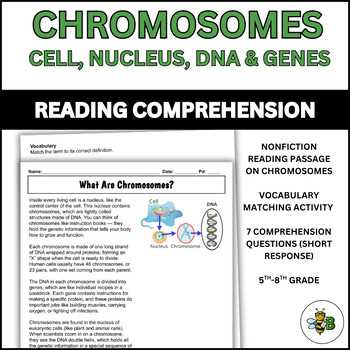 chromosomes genes and dna worksheet