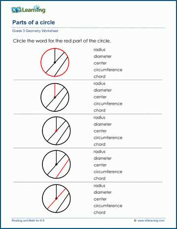 circles area worksheet
