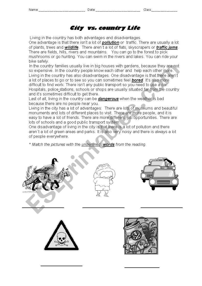 city life vs country life worksheets
