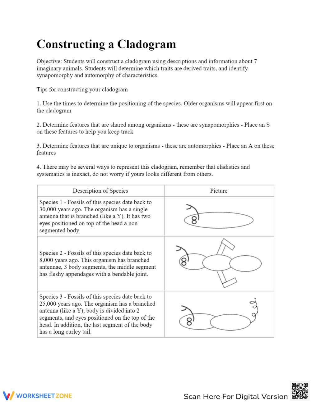 cladogram analysis worksheet