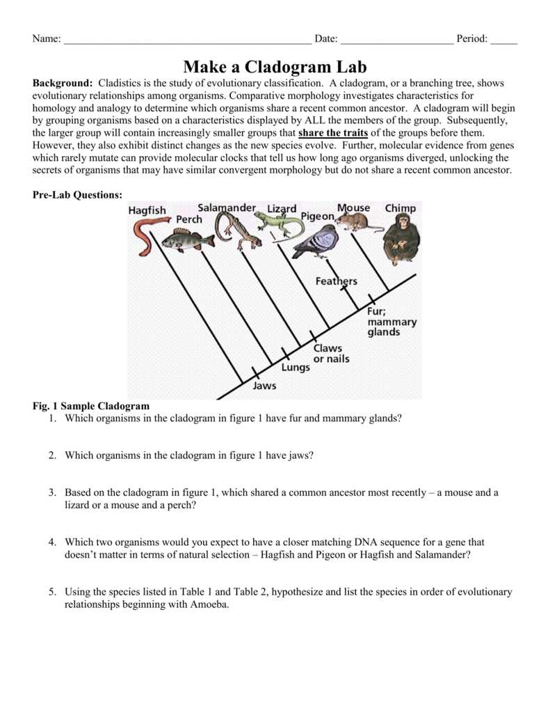 cladogram lab worksheet
