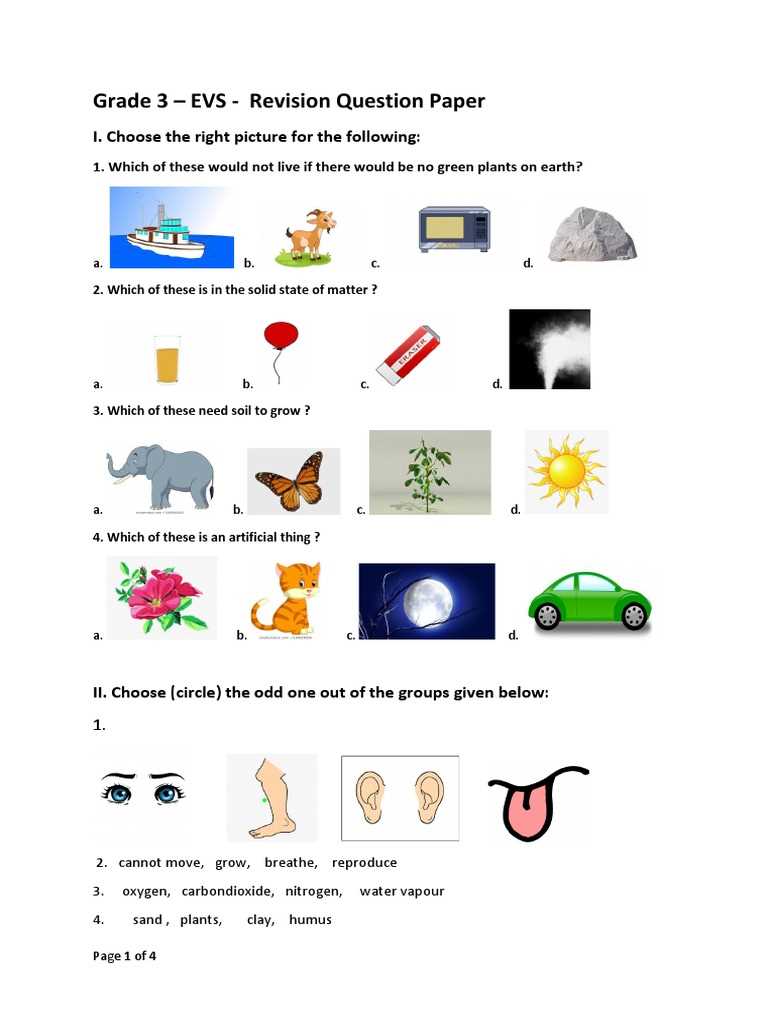 class 3 worksheets evs