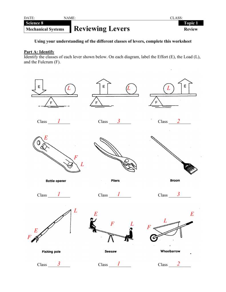 class of levers worksheet