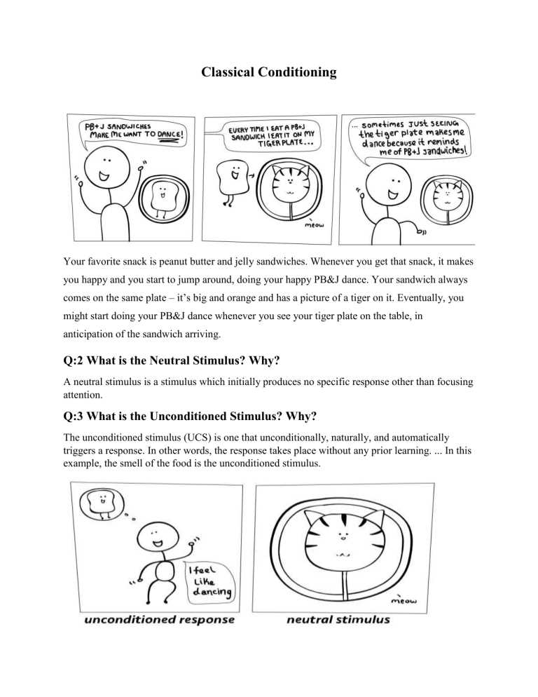 classical conditioning or operant conditioning worksheet classical conditioning or operant conditioning worksheet