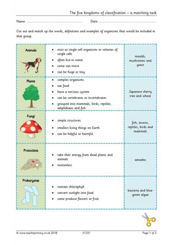 classification of living things worksheets