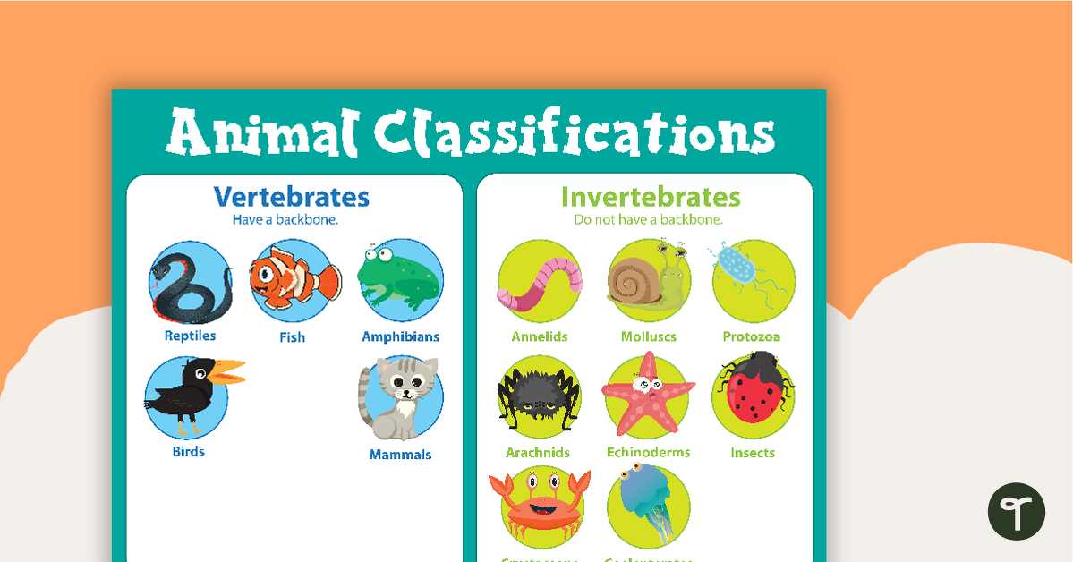 classify vertebrates and invertebrates worksheets classify vertebrates and invertebrates worksheets