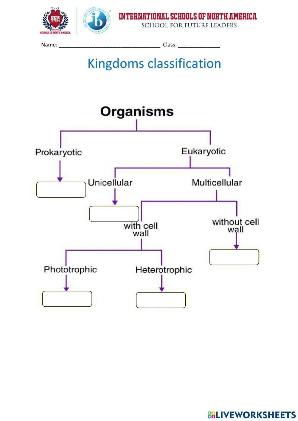 classifying kingdoms worksheet