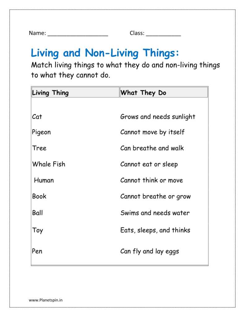 classifying living and nonliving things worksheet