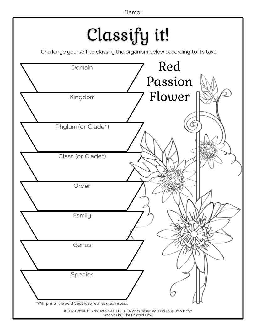 classifying plants worksheet