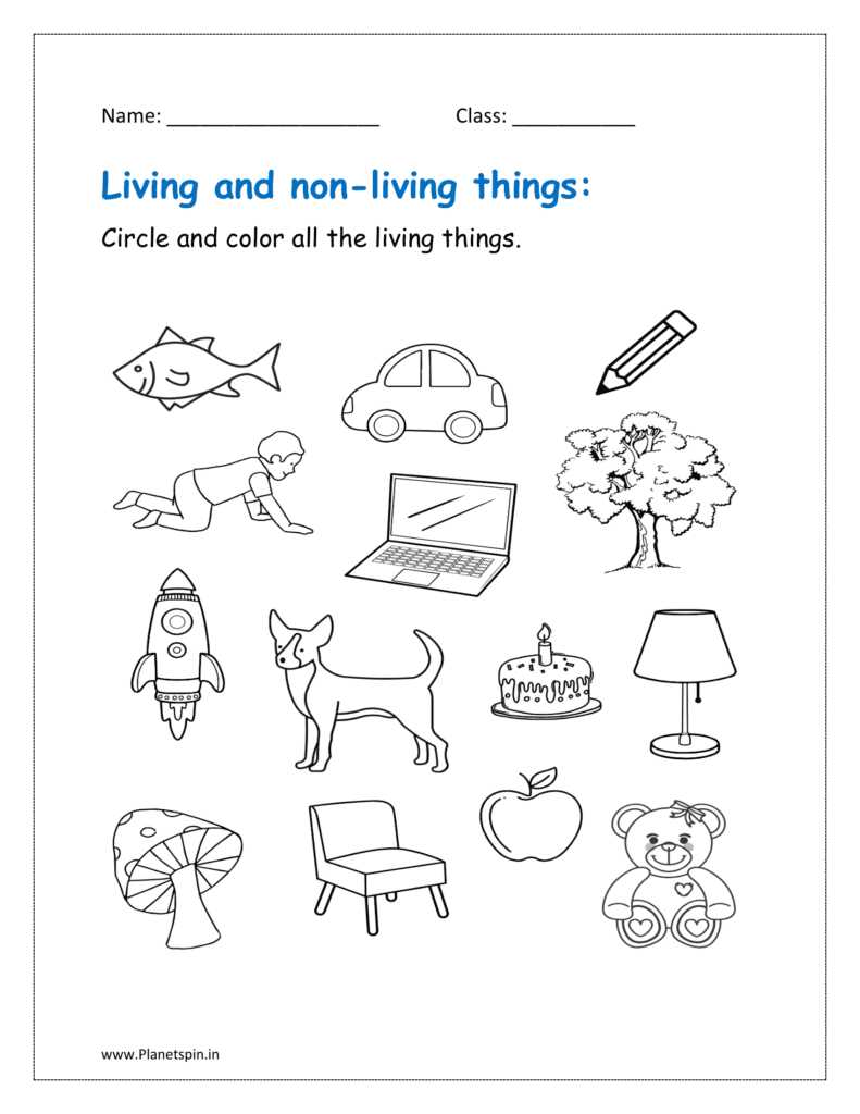 classifying things worksheet for kindergarten