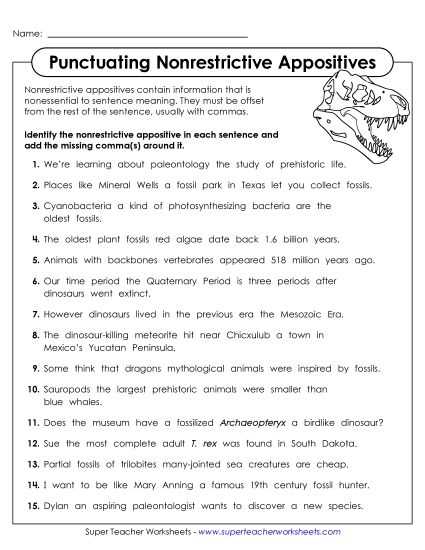 comma use worksheet