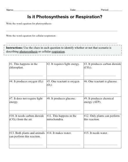 comparing photosynthesis and cellular respiration worksheet
