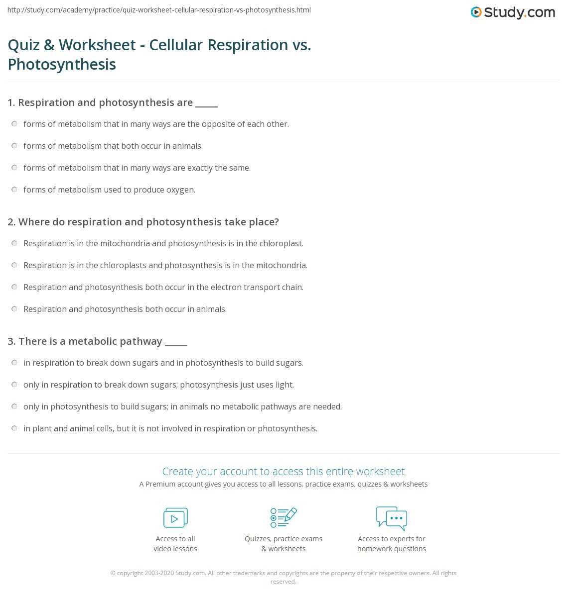 comparing photosynthesis and cellular respiration worksheet