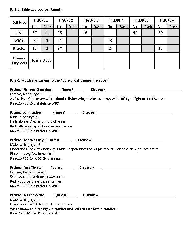 complete blood cell count worksheet