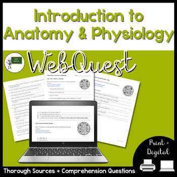 comprehending anatomy and physiology terminology worksheet