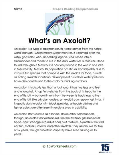 comprehension worksheet for class 5