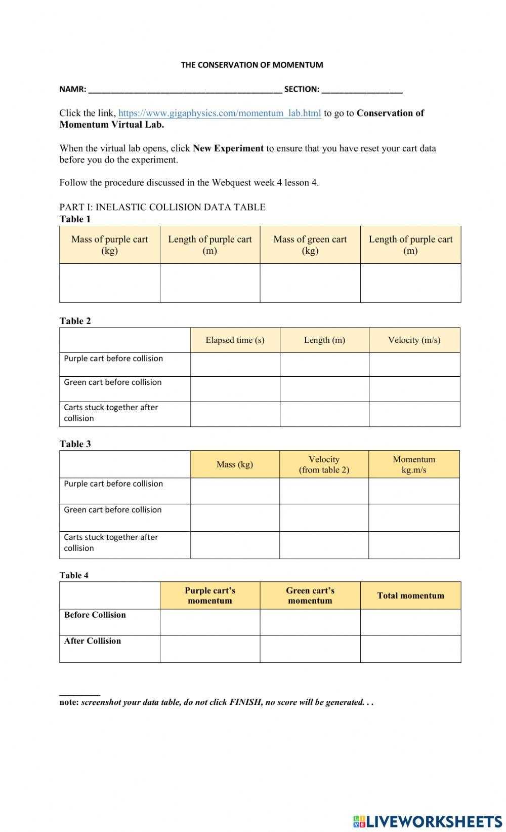 conservation of momentum worksheet