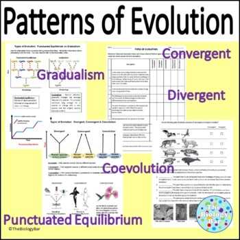convergent and divergent evolution worksheet