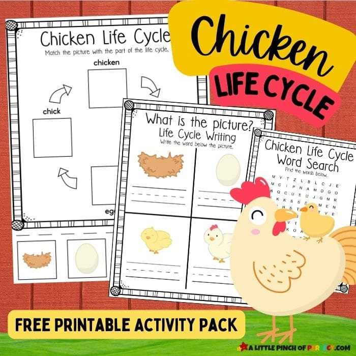 cooking poultry worksheet