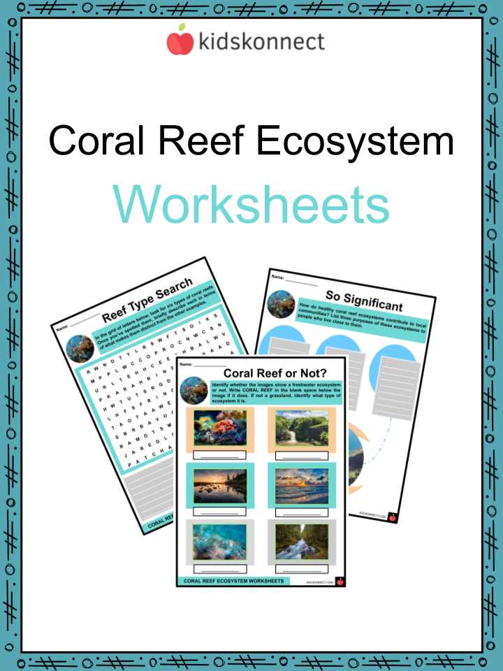 coral reef food web worksheet