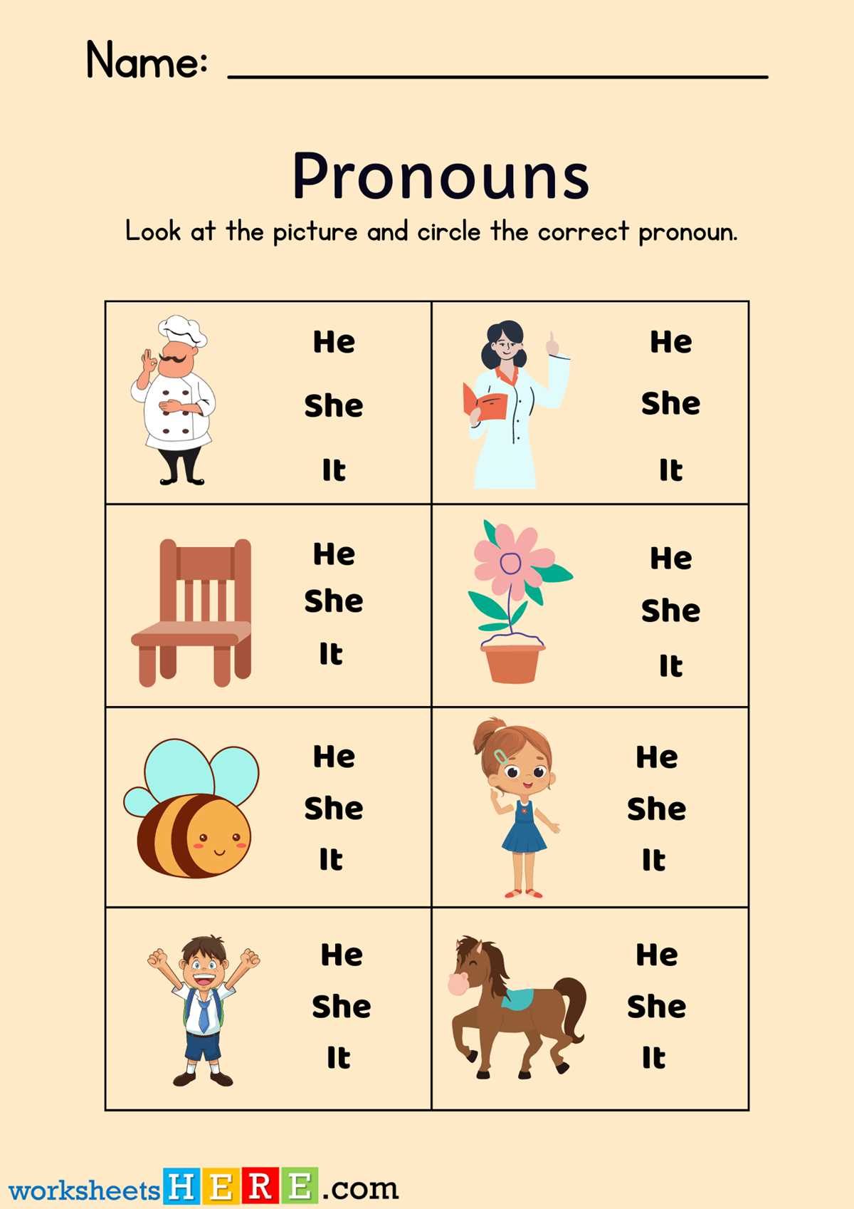 correct pronoun worksheet