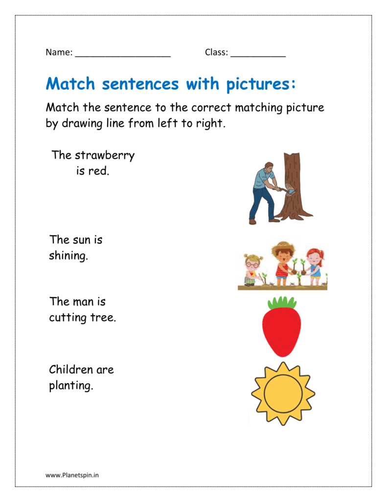 correct sentences worksheet